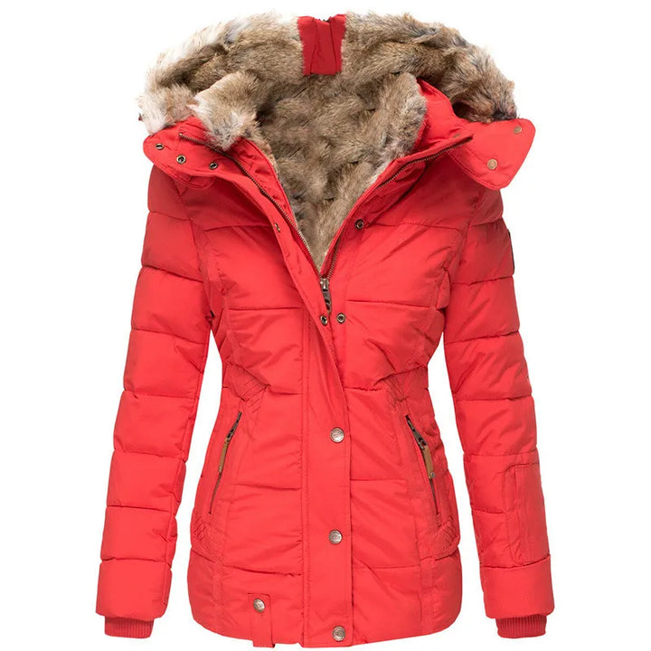 Roupa feminina quente e confortável, casaco elegante e moderno para o inverno.