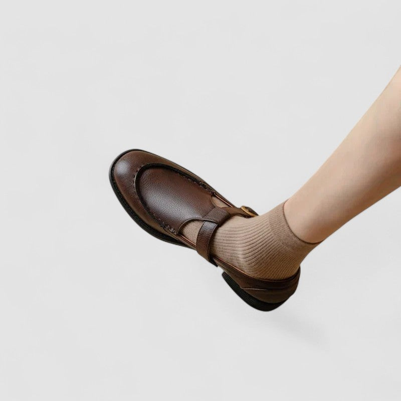 Sapatos Mary Jane castanhos, bico quadrado e salto baixo. Calçado feminino clássico e confortável.