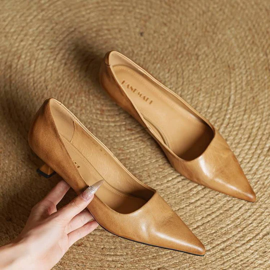 Sapato de salto feminino castanho, bico fino, ideal para um look elegante e sofisticado no trabalho.