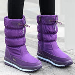Roxo